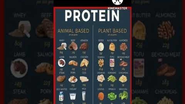 'protein foods veg and non veg'