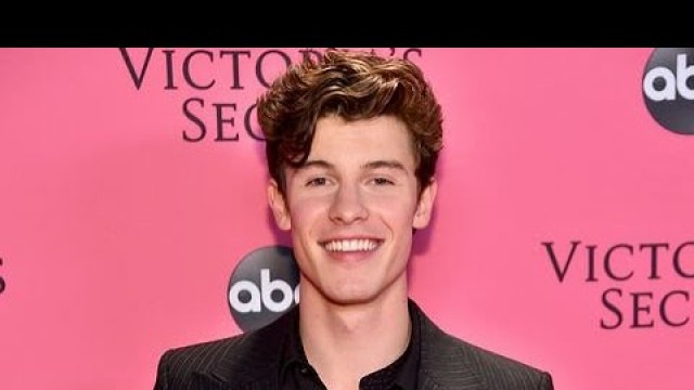 'Shawn Mendes on the Victoria\'s Secret Fashion Show Pink Carpet'