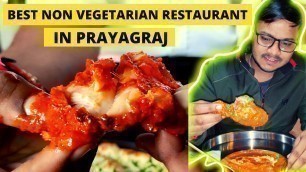 'Best Non Vegetarian Restaurant In Prayagraj || Allahabad || Non Veg Lovers || Foodie Niks'