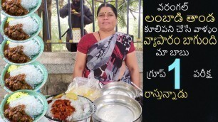 'Hard Working Woman Street Food || Lady Selling Roadside Non Veg Meals ||Street Food Lab'