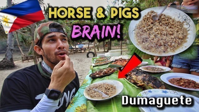 'Philippines\' STRANGEST Foods (Utokan of Dumaguete)'