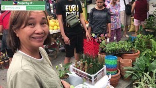 'PHILIPPINES!!! PUBLIC MARKET!  STREET FOOD! LIFE IN THE PROVINCE!!!  Filipino Food.'