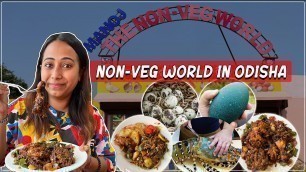 'Non Veg World-All You can eat at | Live kitchen ,Food Paradise, Patia | Odisha Food Series Ep-8'