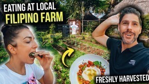 'CRAZY GOOD Food from Local FARM-TO-TABLE Restaurant in the PHILIPPINES!'