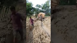 'godavari bullodu new tractor videos #shorts #viral'