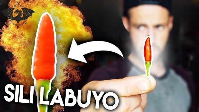 'Eating the Spiciest Pepper in the Philippines with the Fighter Boys'