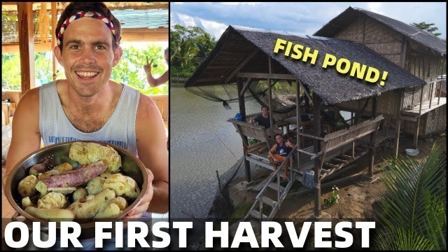 'PHILIPPINES BEACH LAND FOOD HARVEST - Visiting The Famous Fish Pond (Cateel, Davao)'