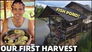 'PHILIPPINES BEACH LAND FOOD HARVEST - Visiting The Famous Fish Pond (Cateel, Davao)'