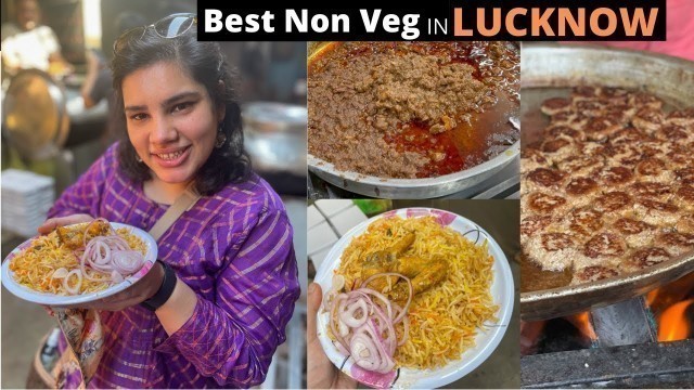 'Best Non Vegetarian Food in Lucknow (Part 1) // Non veg Food lovers // Best biryani in Lucknow'