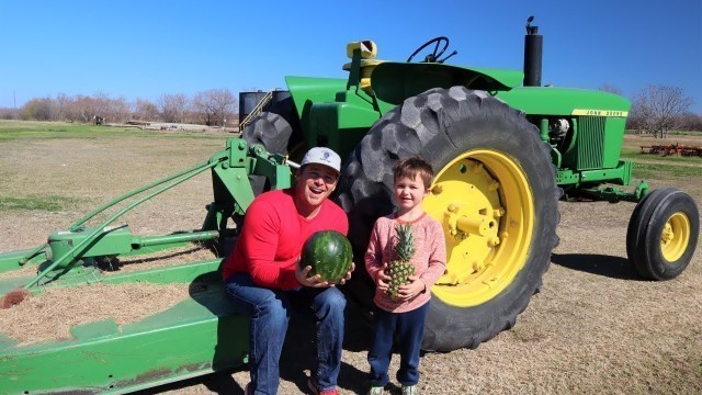 'Playing on the farm with tractors and hay | Cutting grass and watermelon | Tractors for kids'