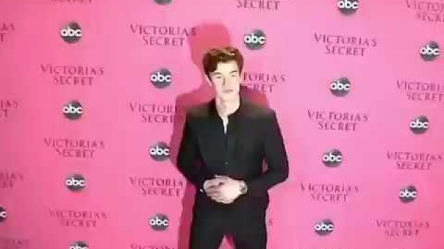 'Shawn Mendes at the Victoria Secret Fashion Show in NY 2018, pink carpet'