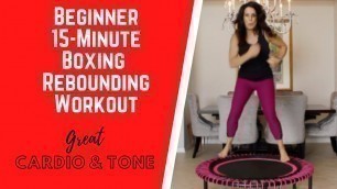 'Beginner 15 Minute Rebounding Workout & Boxing (Cardio Bounce For The Whole Body)'