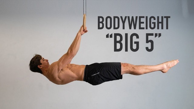 'The Bodyweight \"Big 5\" | Upper Body Movements'