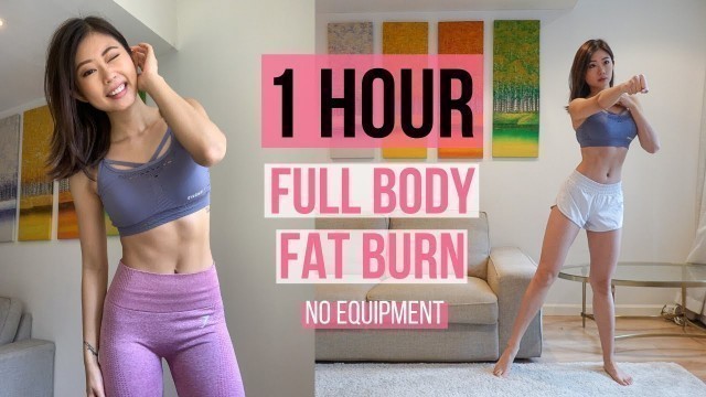 '1 HOUR FULL BODY FAT BURN HOME WORKOUT (Warm Up, Arm & Back, Cardio, Ab, Leg & Thigh, Stretch) ~ Emi'