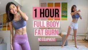 '1 HOUR FULL BODY FAT BURN HOME WORKOUT (Warm Up, Arm & Back, Cardio, Ab, Leg & Thigh, Stretch) ~ Emi'