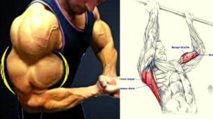 'THE BEST PROGRAMME MUSCULATION BICEPS TRICEPS AVANT BRAS / ARMS WORKOUT FOR MASS.'