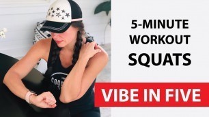 'VIBE in FIVE - Squats - Fun, Fast and Easy 5 Minute Workout!'