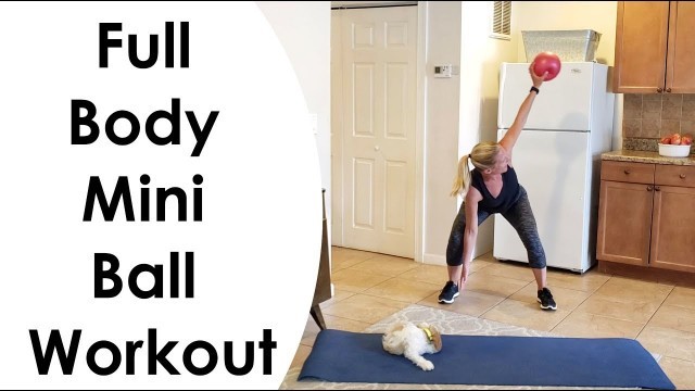 'FULL BODY MINI BALL WORKOUT (20 MINUTES)'