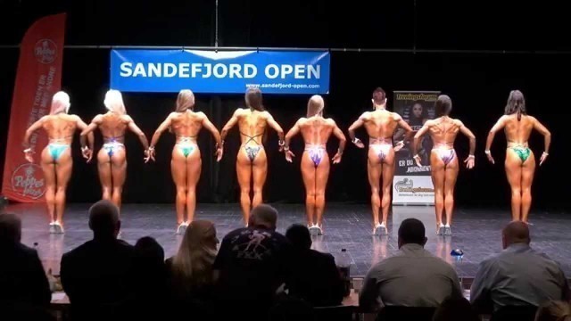 'Sandefjord Open 2015 - Body Fitness Debutant +163cm'