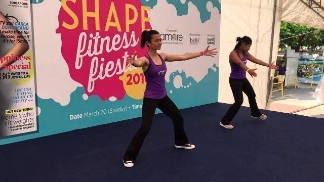 'StretchFit Workout from Shape Fitness Fiesta 2016'