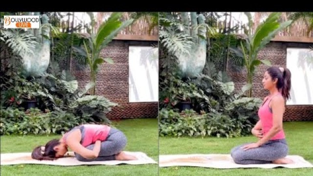 'Fitness Queen!! Shilpa Shetty Aces Yoga\'s Mandukasana To Focus On \'Second Brain\' #Shorts'