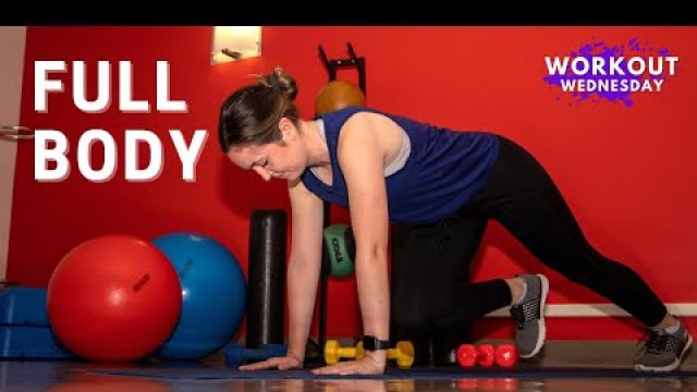 'Exercise / Stability Ball Workout || How to use an exercise ball || Workout Wednesday UIUC'