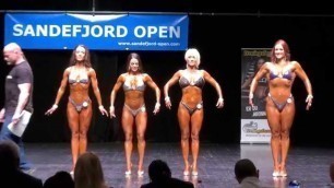 'Sandefjord Open 2015 | Body Fitness Master Åpen'