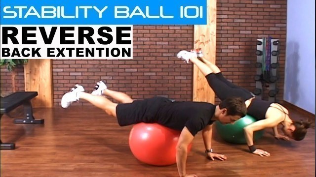 'Stability Ball Exercises: Reverse Back Extension'