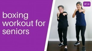 'Boxing Workout for Seniors'