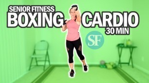 'Senior Fitness - 30 MIN Standing Boxing Cardio Workout For Seniors | Intermediate Level'