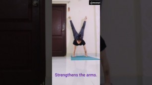 'Handstand #Vrischikasana #yoga #viralvideo #shortvideo #short #fitness #yt #youtubeshorts #youtube'