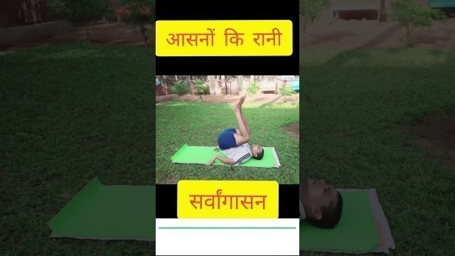 'सर्वांगासन विधि | sarvangasana yoga benefits in hindi | Fitness First Choice | #shorts'