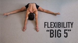 'The Bendy \"Big 5\" | Flexibility Movements'