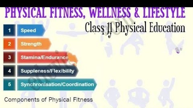 'Physical fitness wellness and lifestyle class 11'