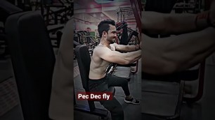 'pec Dec fly #pecdecfly #butterfly #gym #shorts #fitness #million #dailyworkout #dailyshorts'