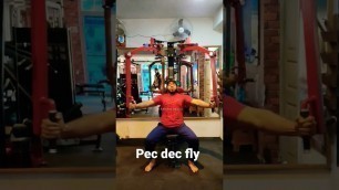 'pec dec fly butterfly exercise'