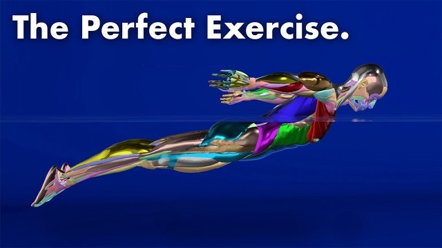 'The Perfect Exercise (Butterfly Swimming)'