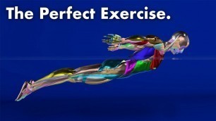 'The Perfect Exercise (Butterfly Swimming)'