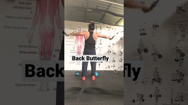 'Back cable butterfly exercise #viralshorts #viralvidoe #trinding #sbroadiesfitness'