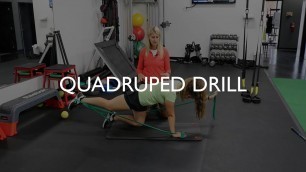 'Quadruped Drill | Golf Exercises to Improve Your Swing'