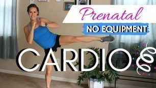 'Prenatal Cardio Workout [No Equipment] | 1st, 2nd, 3rd Trimester Safe'