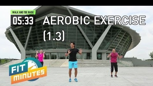 'Fit Minutes [by Mahidol] Aerobic Exercise (1.3)'