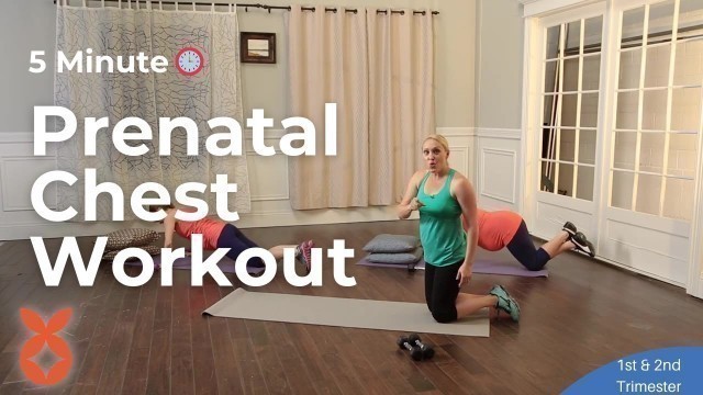 '5 Minute Prenatal Chest Workout  | Full Body Maternity Workout Series for Expecting Moms Part 6'