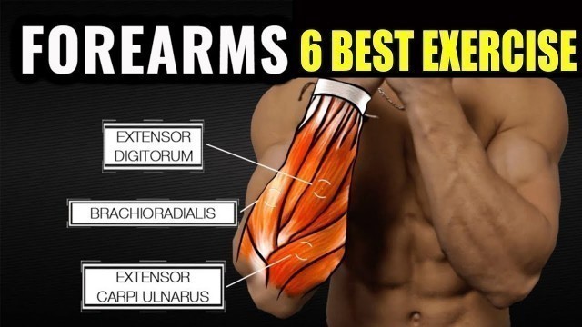 '6 Dumbbell Workout for Forearms | Forearms Workout with Dumbbells in Hindi  @Fitness Fighters ​'