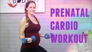 '20 Minute Prenatal Cardio Workout for 1st, 2nd and 3rd trimesters of pregnancy'