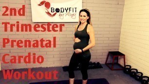 '20 Minute 2nd Trimester Prenatal Cardio Workout-- (but good for ALL Trimesters of Pregnancy!)'