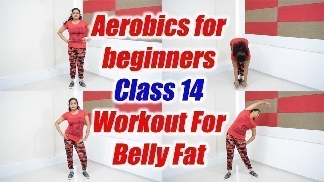 'Aerobics for beginners - Class 14 |  Aerobic Exercise for belly fat | Boldsky'