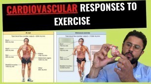 'The Cardiovascular Response to Aerobic Exercise'