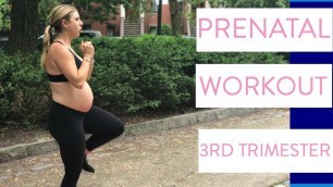 'No Equipment 3rd Trimester Pregnancy Workout | SarahFit Prenatal Workout'