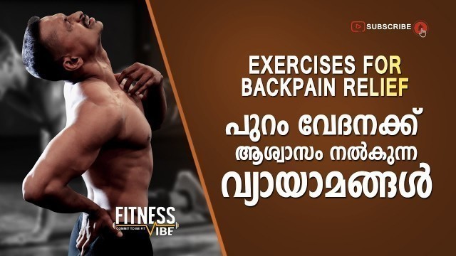'How to get relief from Back Pain | Exercise | Malayalam Fitness Video | Fitness Vibe'